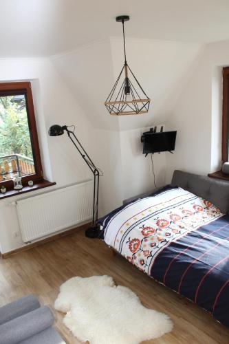 Apartament Antolka, Zakopane (fotografie 9)