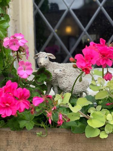 Shoulder of Mutton Inn - image 3