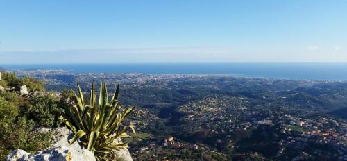 La Bastide des Pins – Vence, CT