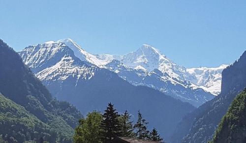 BnB Chalet-Gafri - Frühstückspension - image 13