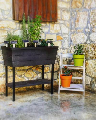 Malietzis House Malietzis House