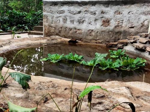 Balajivilla Nature Homestay Coorg