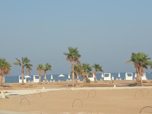luxury apartment at Mangroovy El Gouna