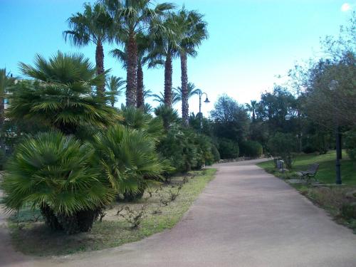 Hotel Terranova – Olbia, NJ