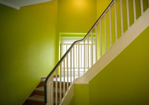 Ringeltaube – Wohnen wie zu Hause - image 3