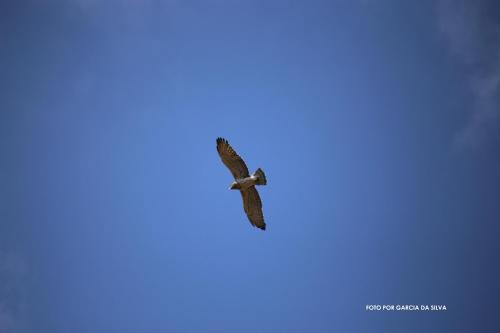  Casa Xara in Malpica