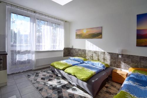 Apartman Nikola Trojanovice