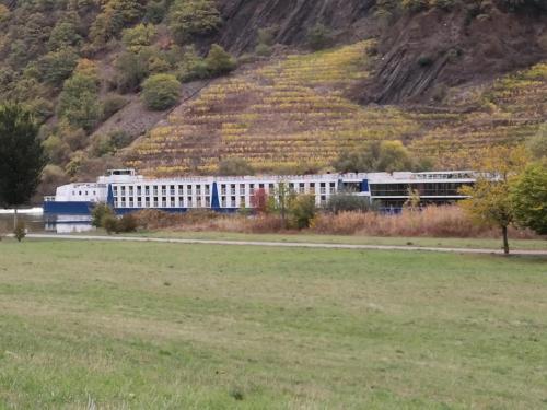 Ferienhaus MaLeFi 2 am Gülser Moselbogen (Ferienhaus MaLeFi 2 am Gulser Moselbogen) in 梅特涅