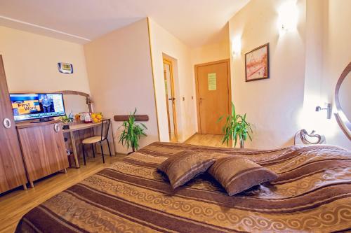 Hotel Color Room Type - Standard Double Room