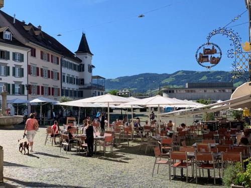  Old Town Charm & Central Location in Rapperswil in Rapperswil-Jona
