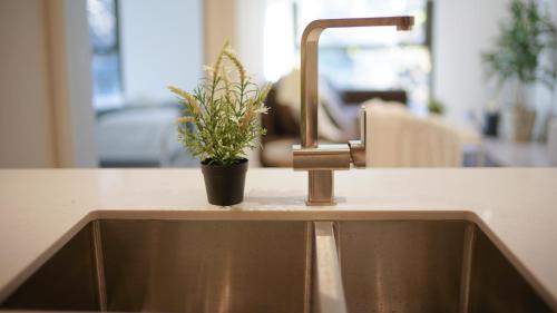 SYDNEY CBD WALK TO DARLING HARBOUR MODERN 1 BED APT NSY188