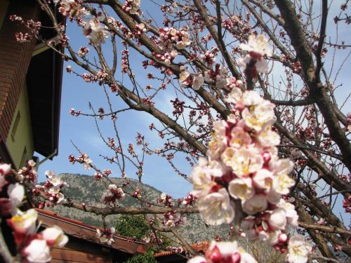 Kybele Hotel Gocek - image 3