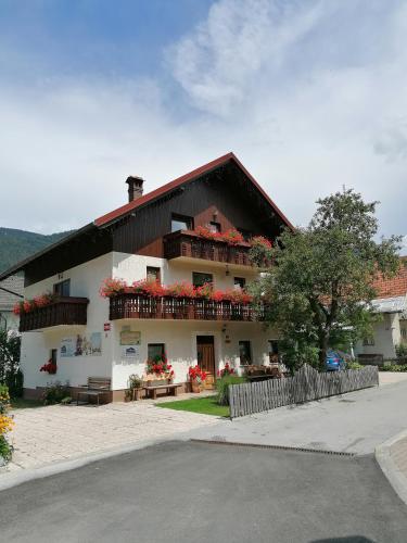 Apartments & Rooms Smučka 1