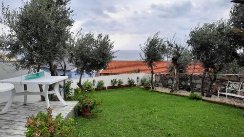 花園, Poggio degli Ulivi in 熱那亞海濱