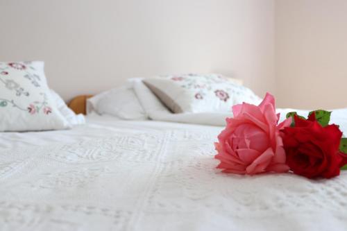  Grape&Wine Guesthouse in Eger