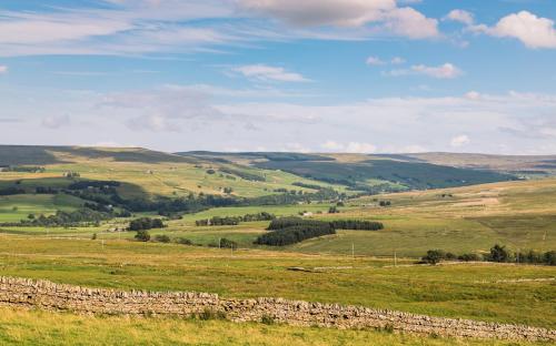 Alston House Hotel - image 11