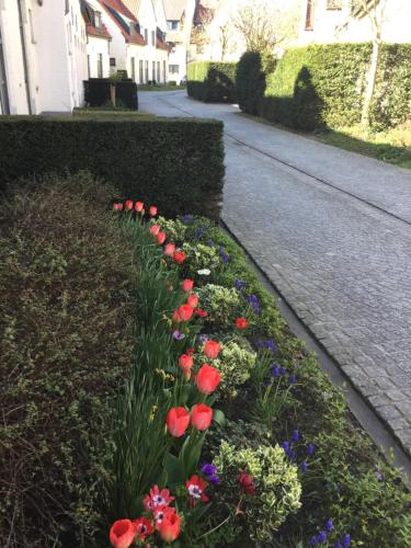  B&B Het Colettientje in Brügge