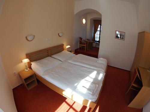 HOTEL CHATEAU ZAMEK CEJKOVICE - image 3