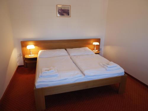 HOTEL CHATEAU ZAMEK CEJKOVICE - image 13
