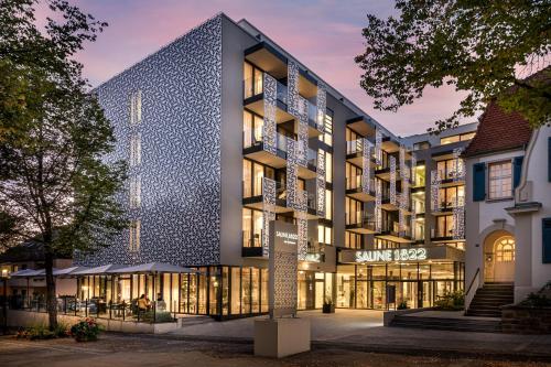 Saline1822 - image 7
