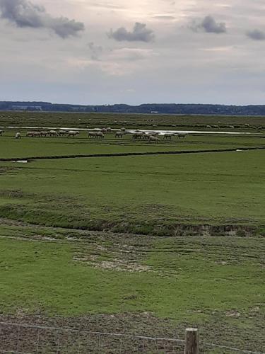 Les Obiones, Fort Mahon Plage, magnifique studio cabine 4p vue latérale mer avec balcon , parking privé gratuit, wifi, classé 2 étoiles, exposition plein sud en Baie de Somme