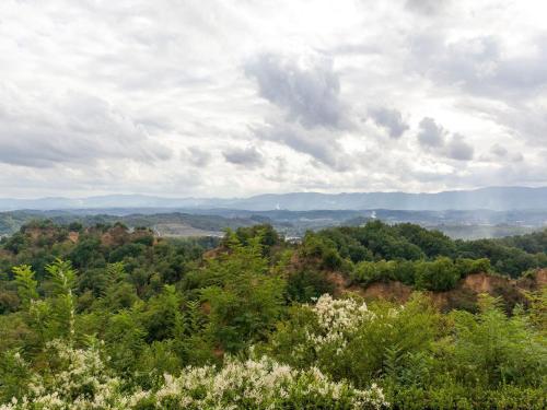 Lovely Apartment in Pian di sco-Campiglia with Sauna