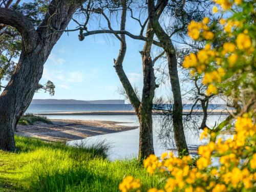 Tapalla Point at Huskisson, Huskisson (fotografie 3)