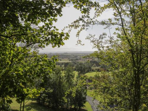 Ryedale Country Lodges - Willow Lodge - image 8