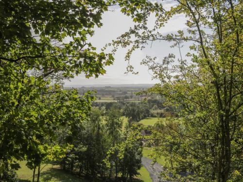 Ryedale Country Lodges - Hazel Lodge - image 7