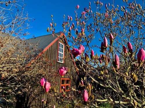 Quail Farm, Colonial charm