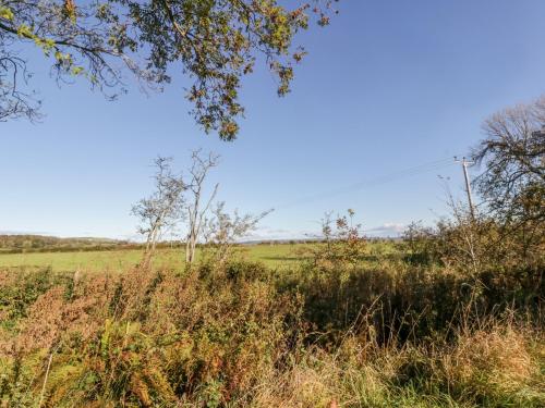 Old Kiln Cottage - image 5