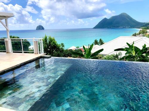 Coco Paradise Coco Paradise