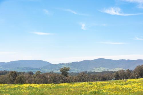 Motel Views Yackandandah