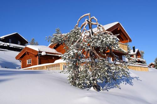. Hyggelig Blikk - Mountain Cabin with Sauna & Ski Access