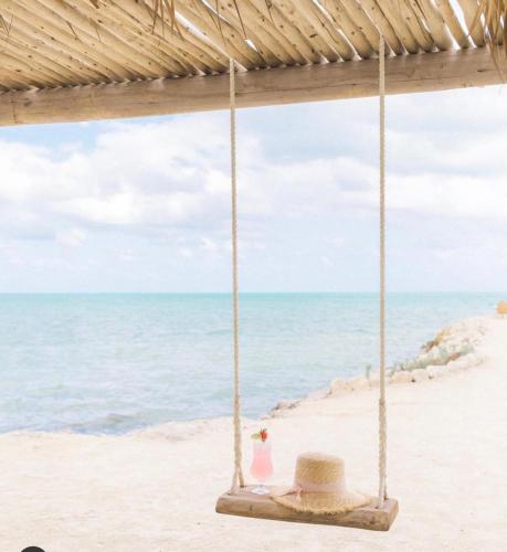 The Islands of Islamorada - image 2