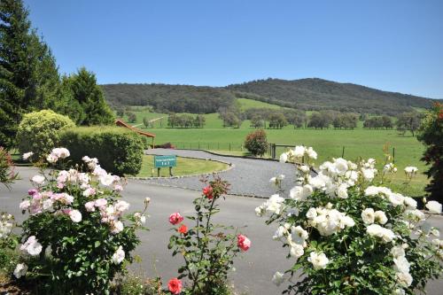 Langbrook Cottages