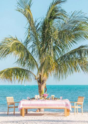 The Islands of Islamorada - image 5