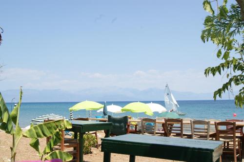 View, Kassimiotis in Ag. Andreas (Messinia)