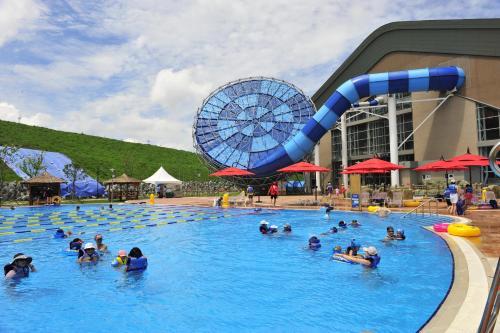 수영장, 홀리데이인&스위트 알펜시아 평창 (Holiday Inn & Suites Alpensia Pyeongchang Suites) in 평창