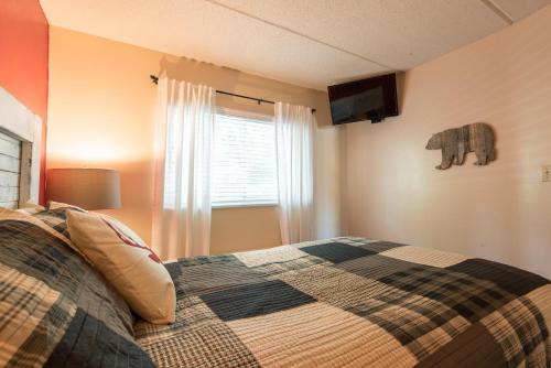 Downtown Gatlinburg Condo - image 4