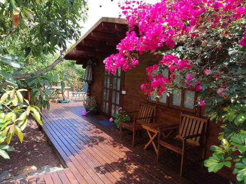  Cottage Bougainville in La Orotava