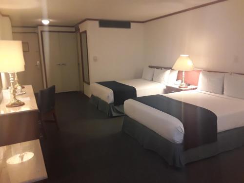 布里斯托酒店 布里斯托酒店