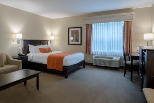 Amsterdam Inn & Suites Sussex