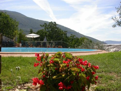 الأنشطة, Agriturismo I Mandorli in تريفى