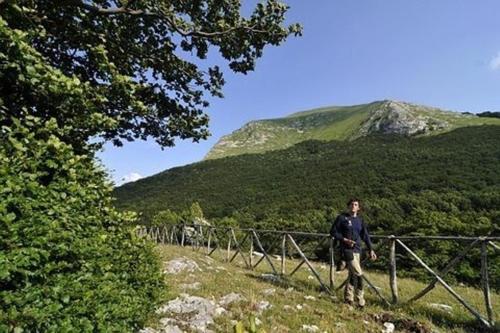 Vaade, Appartamento il Grillo in Fossato Di Vico
