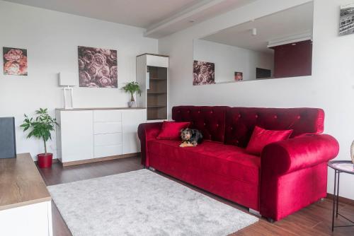 Rose Valley Apartment - Polanica-Zdrój