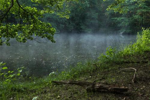 Landgasthof Hieren Muhle in Boppard