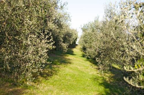 Létesítmények, Agriturismo Marani in Arcugnano