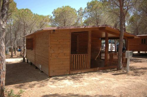 Villaggio Camping Calapineta - image 10
