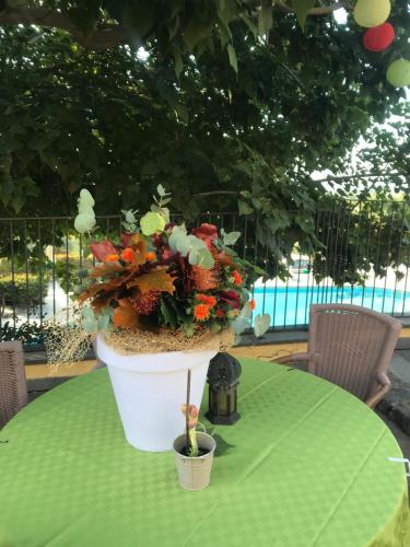 Agriturismo Serra San Biagio - image 12